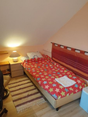 Agréable petite chambre à côté du Walibi avec grand jardin arboré